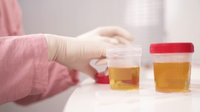 Safeguard Your Future: Why Synthetic Urine Kits Are a Must-Have